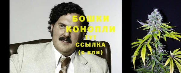 ГАЛЛЮЦИНОГЕННЫЕ ГРИБЫ Ладушкин