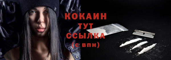 гашик Кулебаки