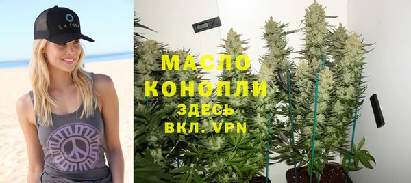 гашик Кулебаки