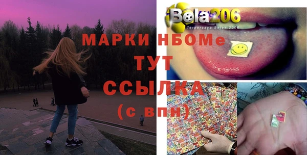 гашик Кулебаки