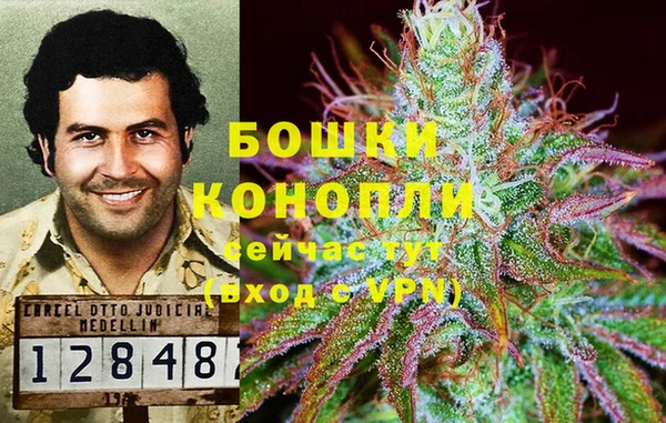 гашик Кулебаки